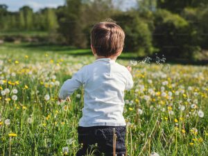 Cosa fare ad Arcore con i bambini in estate? Guida per i genitori. Centro Estivo 2026 Scuola Materna Durini.
