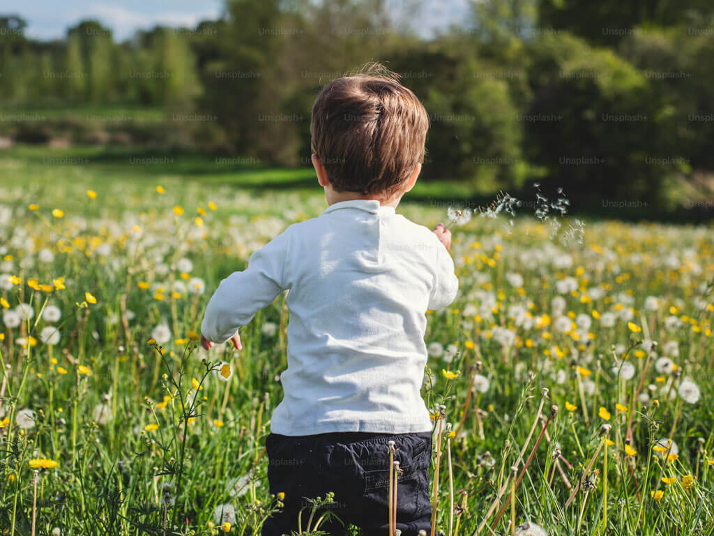 Cosa fare ad Arcore con i bambini in estate? Guida per i genitori